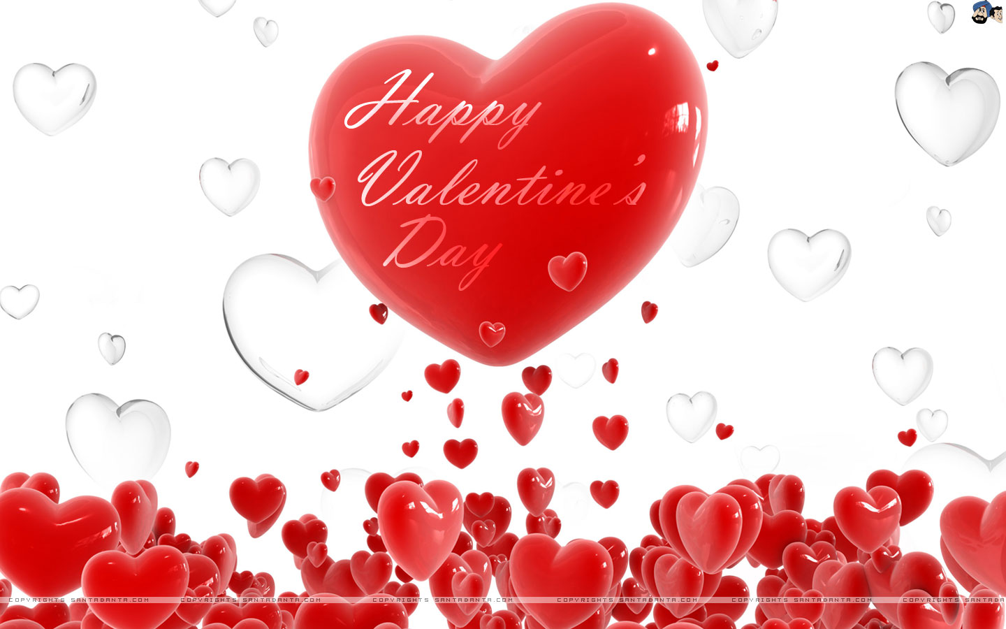 Valentine S Day Best Wallpaper Whatsapp