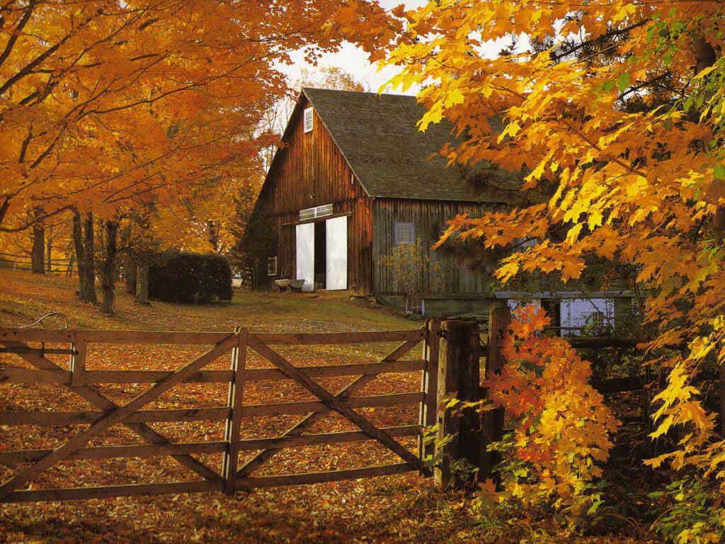 Fall Of Autumn Leaves Desktop Wallpaper HD