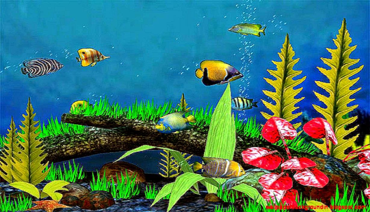Widescreen 3d Sea Fish Wallpaper Photo