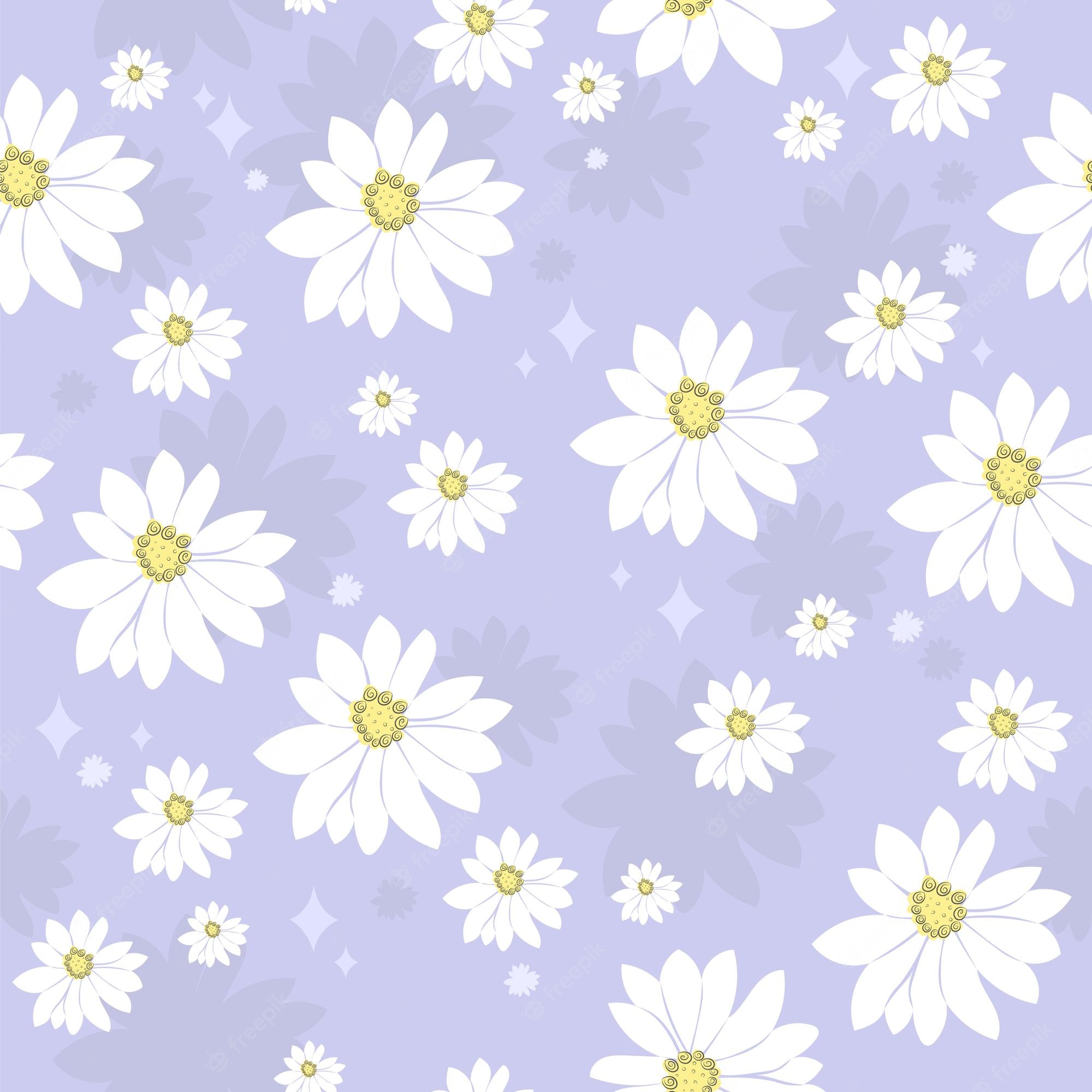 Daisy Aesthetic Wallpaper