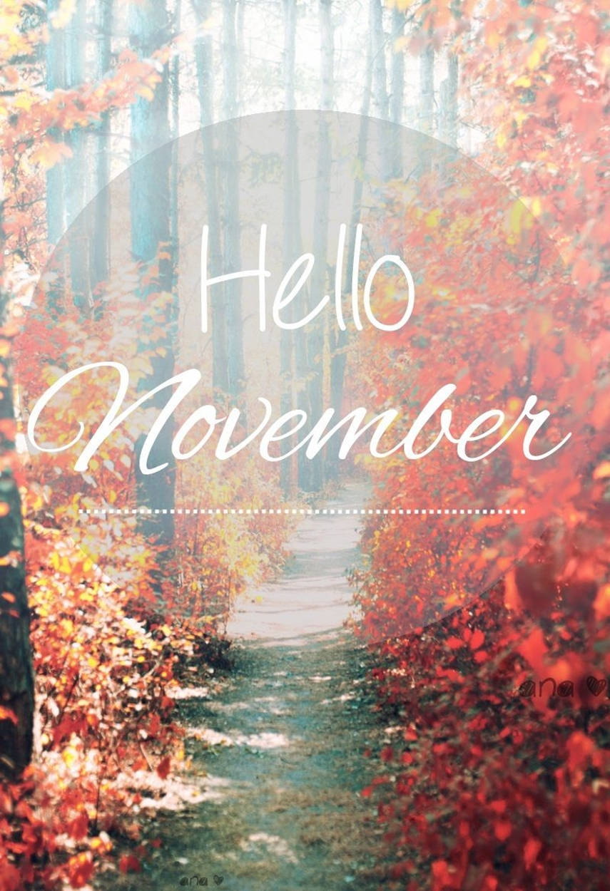 Celebrate The Transition Of Leaves And Seasons With Wallpaper