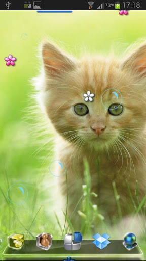 Bigger Cute Kitten Live Wallpaper For Android Screenshot