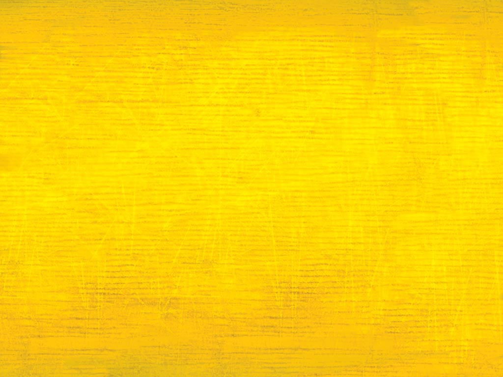 Bright Plain Yellow Background Image HD Wallpaper Wallfoy