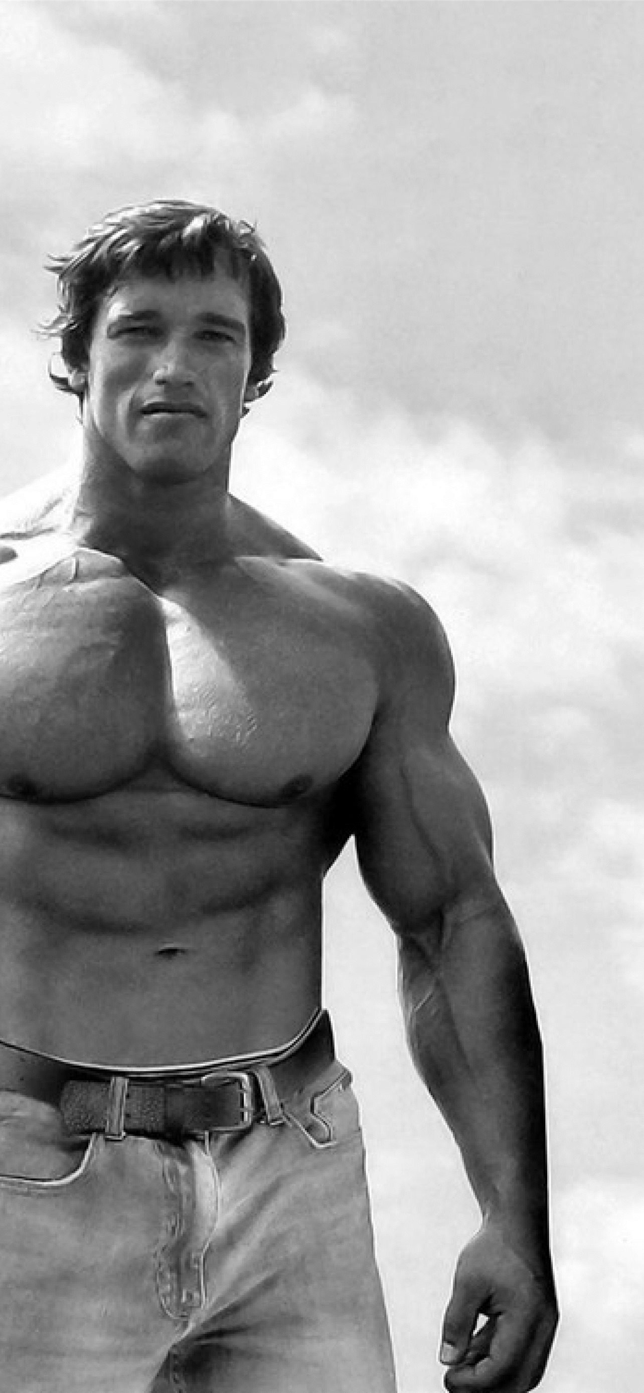 Arnold Schwarzenegger Wallpaper HD