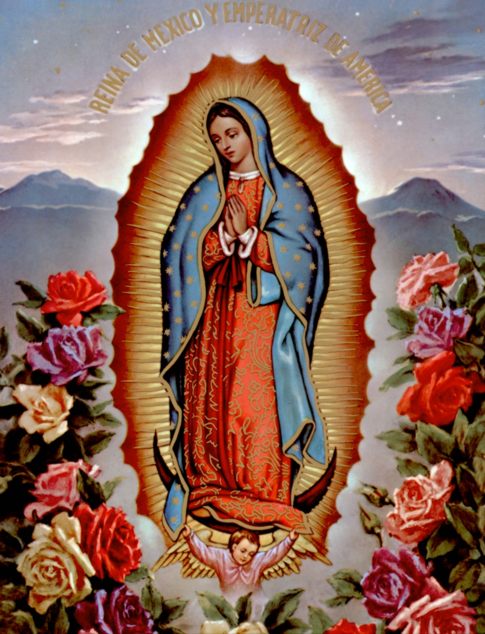 Our Lady Of Guadalupe Wallpaper HDwallpaper20