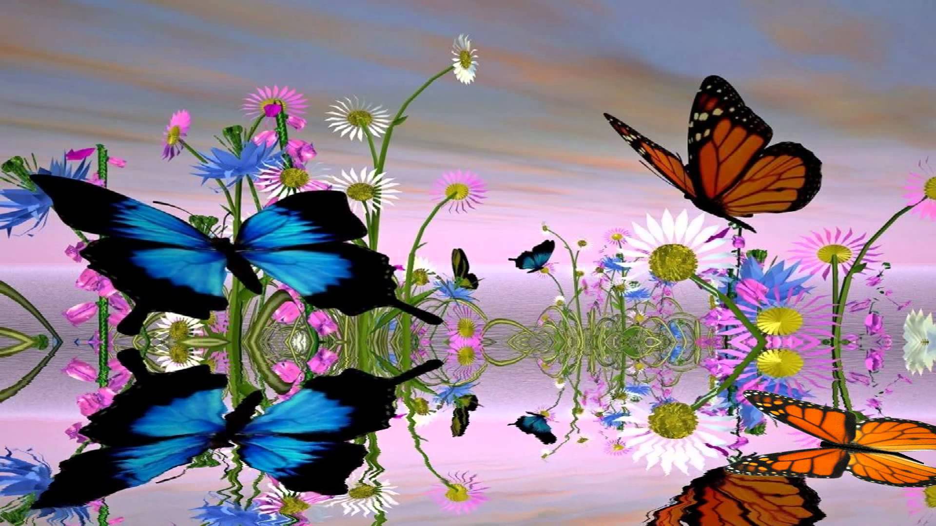 Fantastic Butterfly Animated Wallpaper Desktopanimated