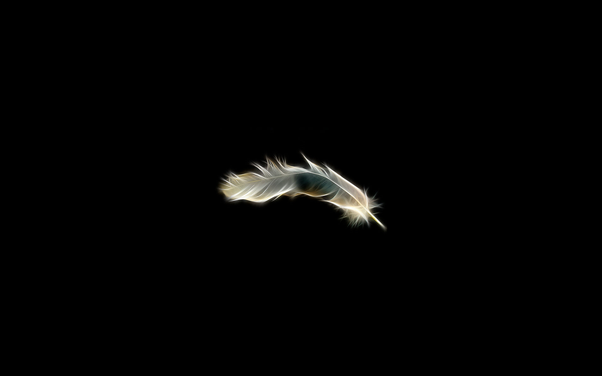 Neon Feather On A Black Background Wallpaper And Image