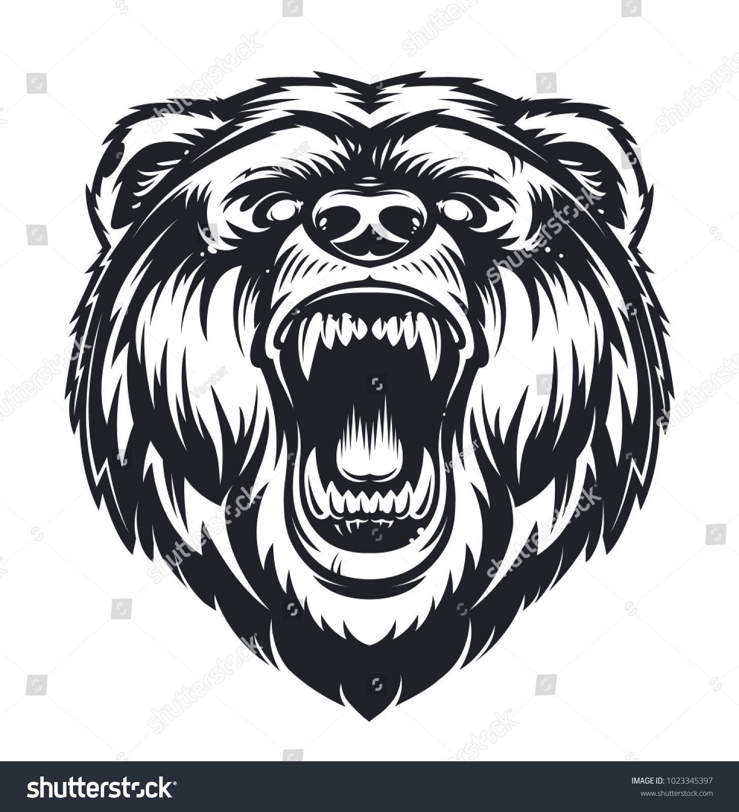 Vector Roaring Bear Isolated On White Background Furious