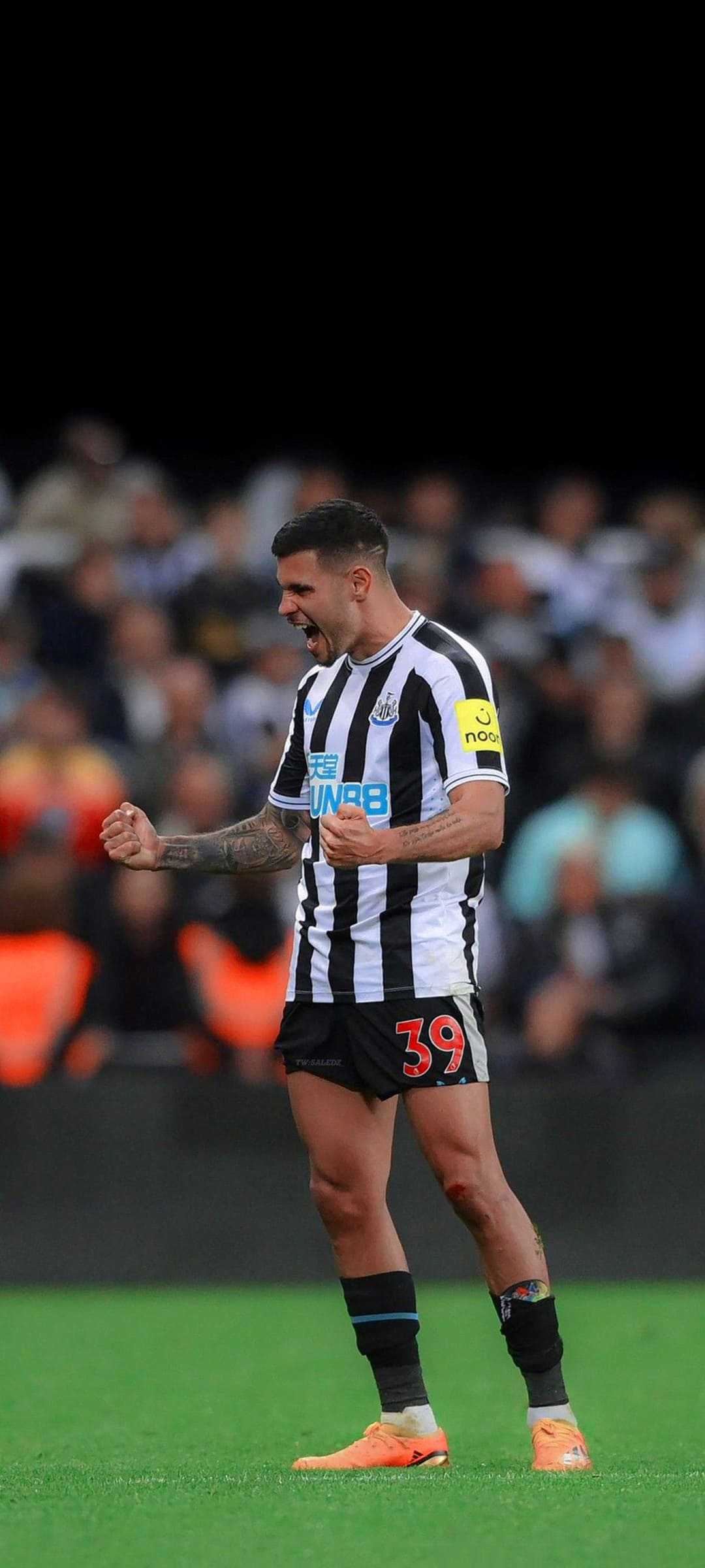 Bruno Guimar Es Wallpaper