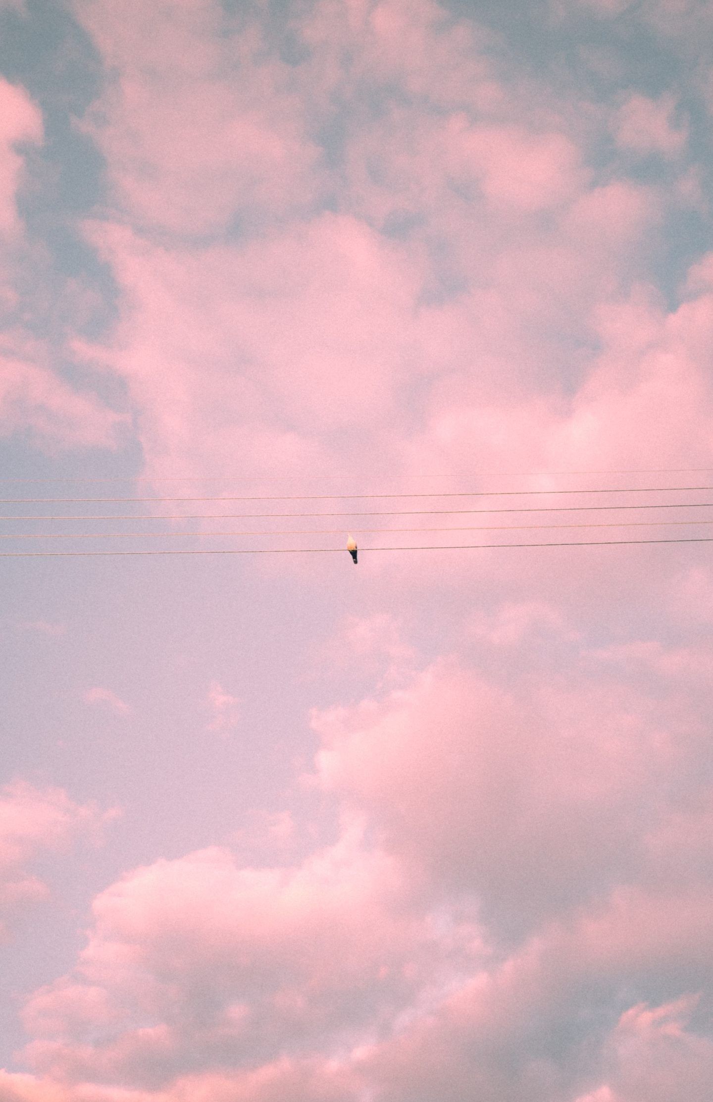 Pink Phone Aesthetic Wallpaper