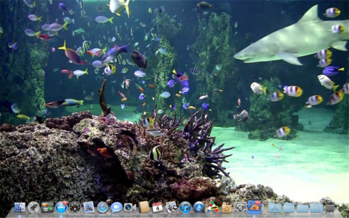 Aquarium Live lite Mac   Descargar