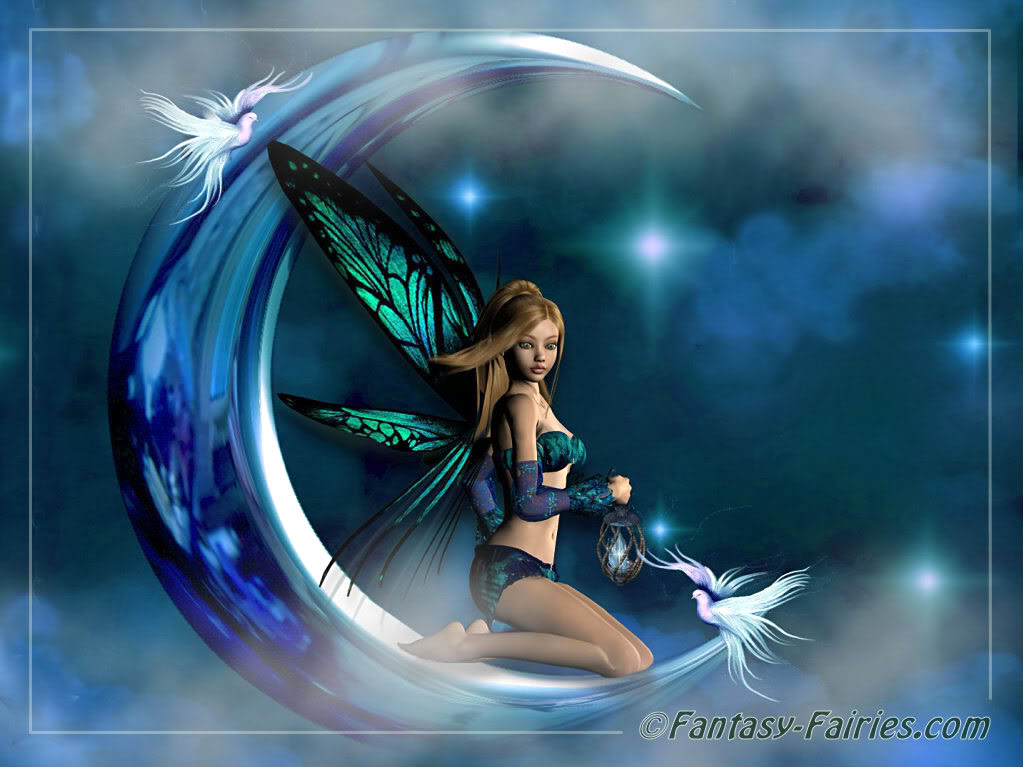 Moon Fairy Wallpaper fairies 635013jpg