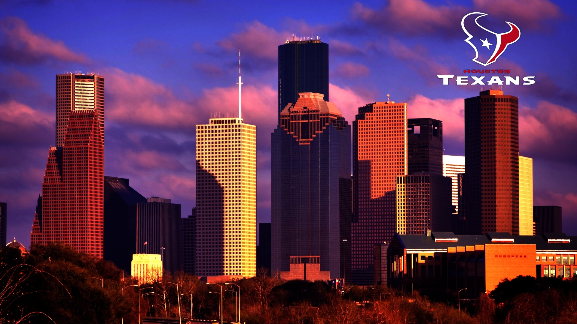 Houston Tx Home Of Texans