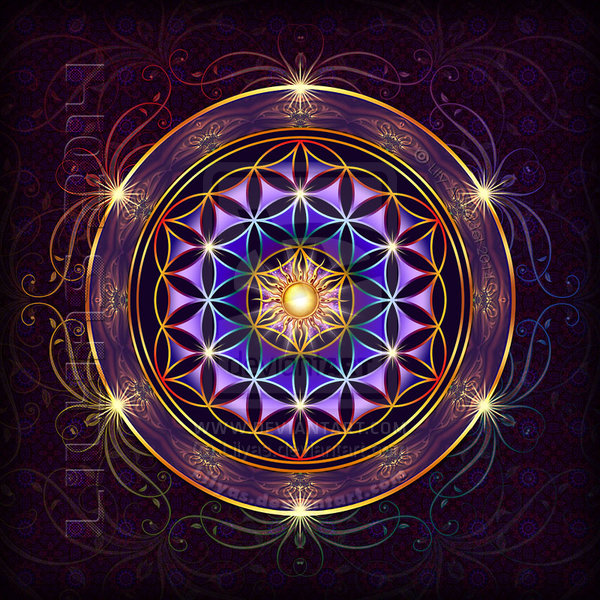 Flower Of Life Mandala Wallpaper Purple flower of life by
