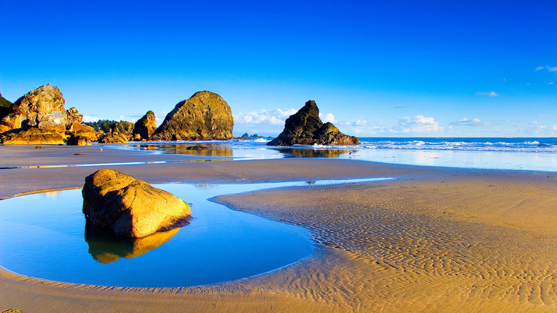 Fresh wallpapers collection for your PC and Phone on Eskipapercom