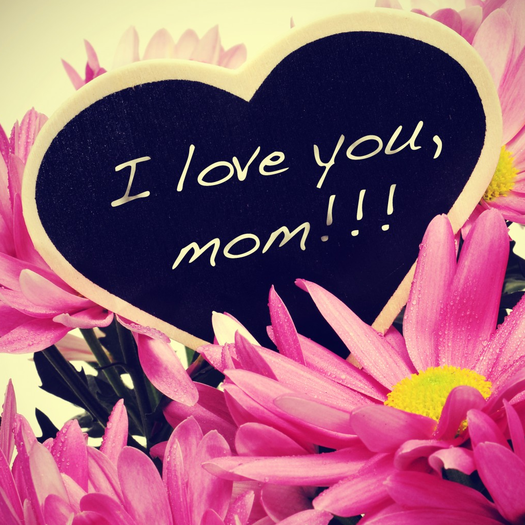 Be Safe, Love Mom PDF Free Download