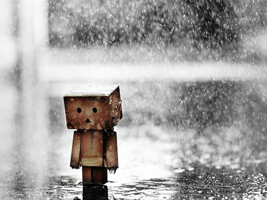 Sad Mood Sorrow Dark People Love Danbo Rain Drops Wallpaper
