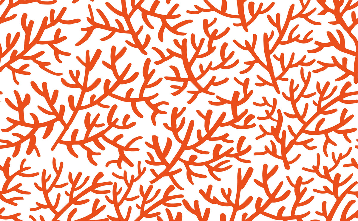 Staghorn Reef Coral Wallpaper For Walls