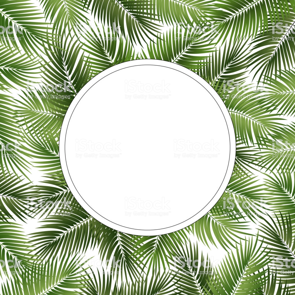Vector Summer Poster Framed With Green Palm Leaves On White