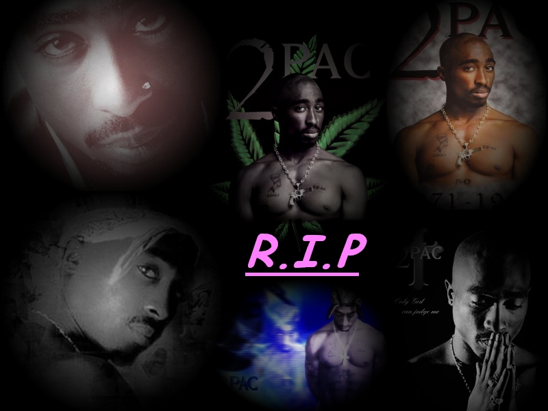 2pac Wallpapers Photos images 2pac pictures 15540