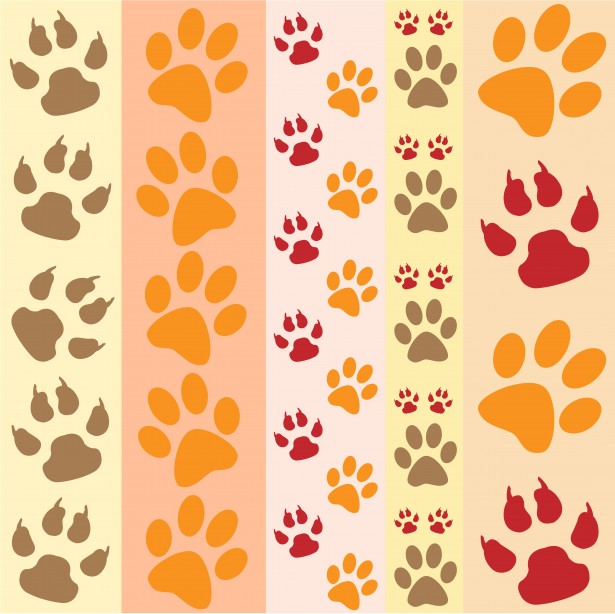 Paw Print Wallpaper Image Pictures Becuo