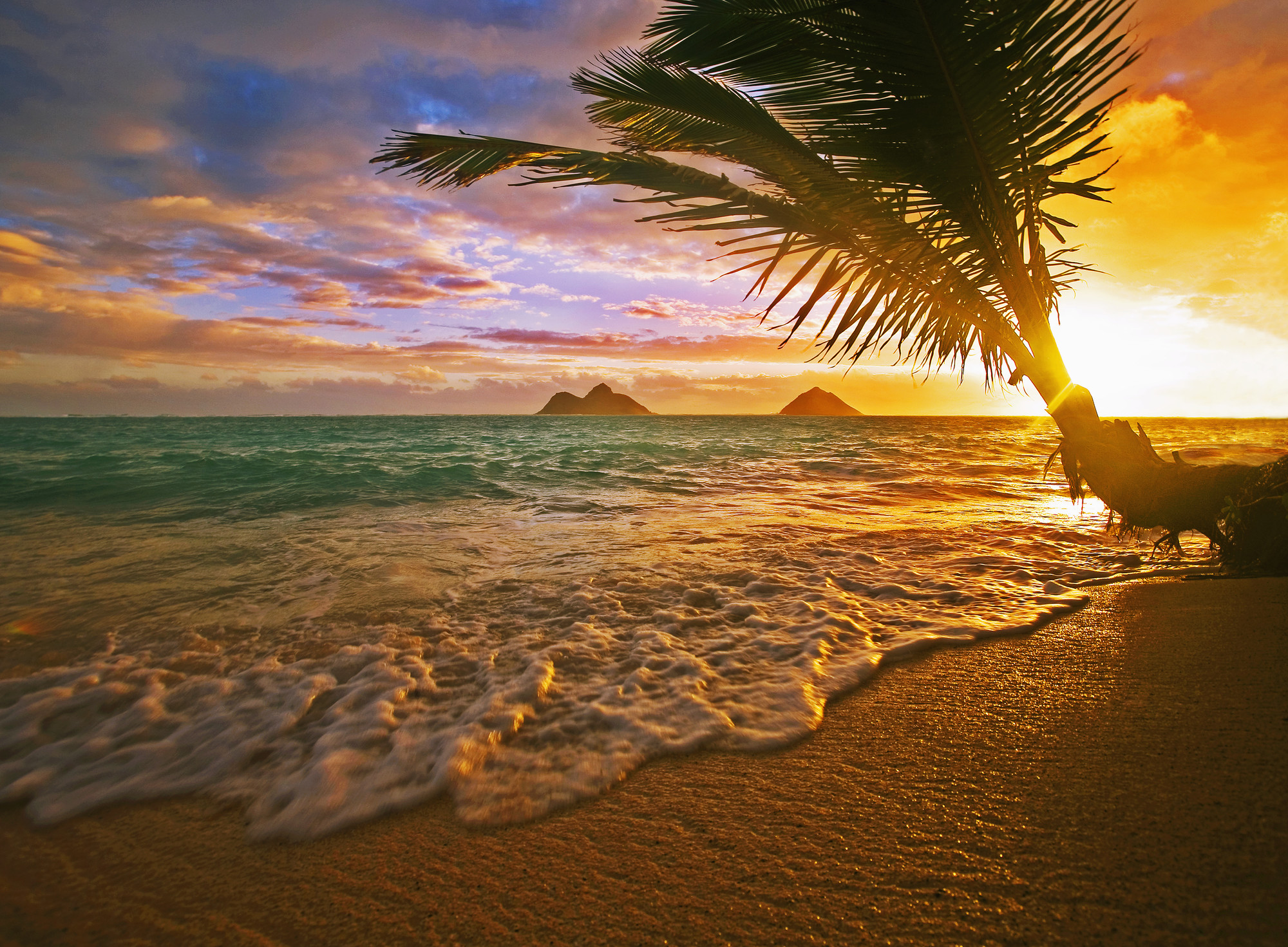 Hawaii Sunset Wallpaper