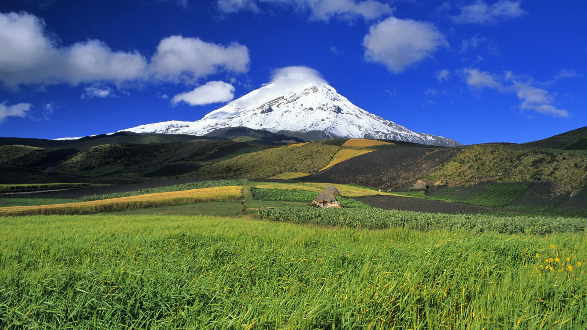 Ecuador Wallpaper