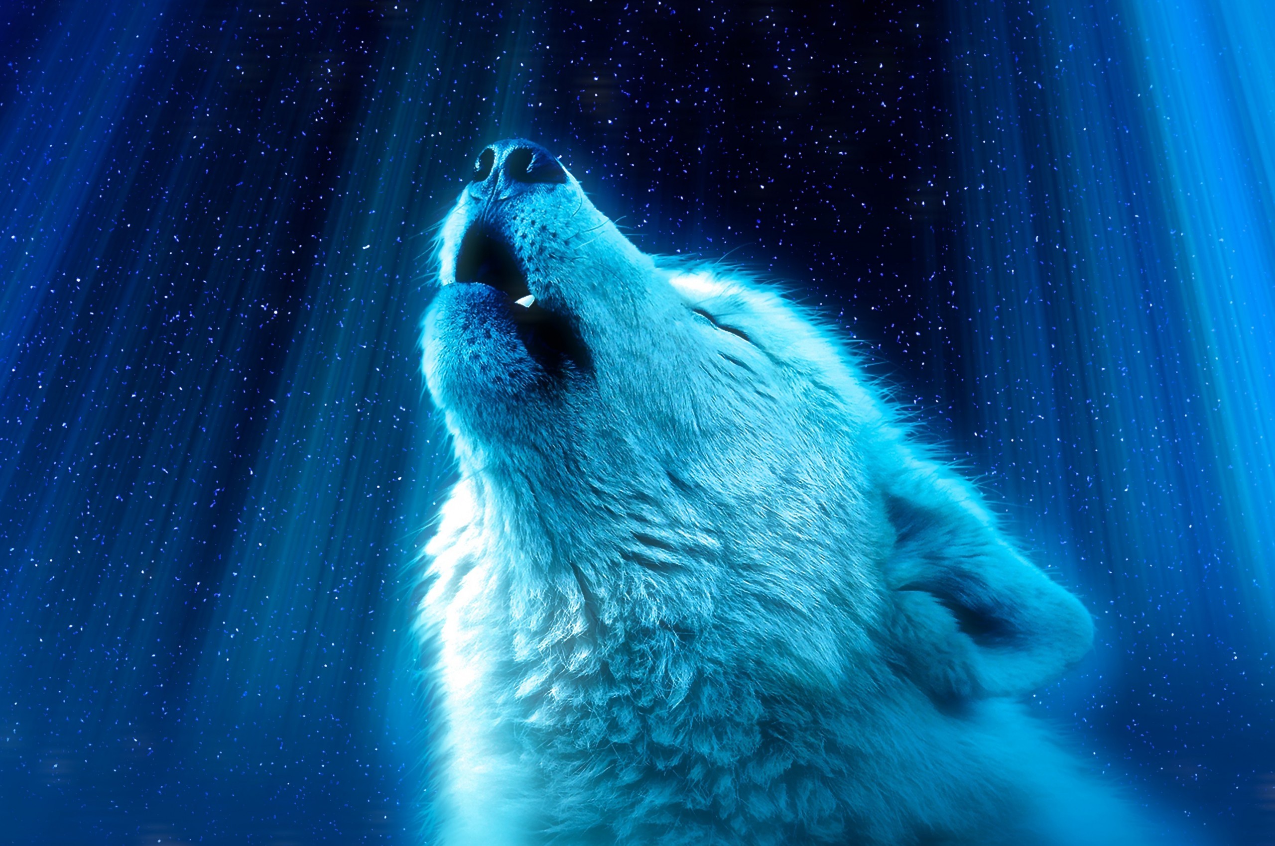 A majestic white wolf howling at the night sky, illuminated by ethereal blue light. Stars twinkle in the background, adding to the mystical atmosphere