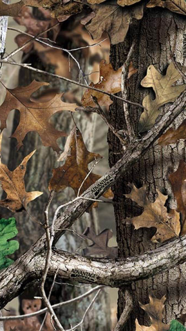 Realtree Camo Pattern Wallpaper for iPhone 5