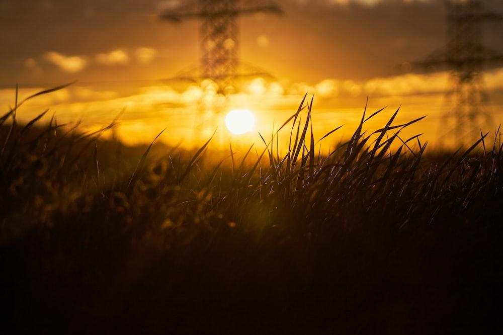 The Sun Is Setting Over A Field Of Grass Photo Outdoors