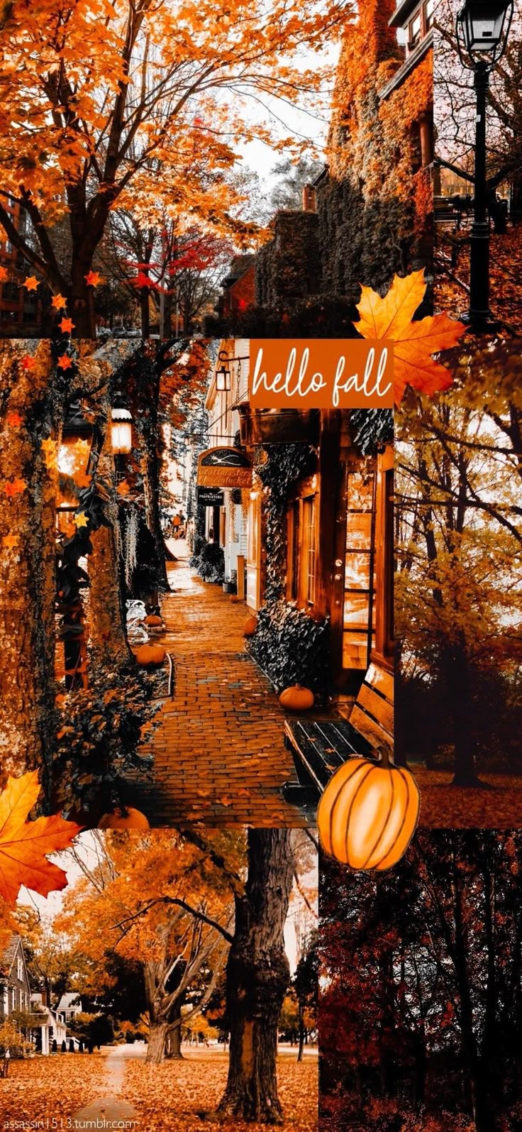 Marcy Mcquiston On Fall Halloween Wallpaper