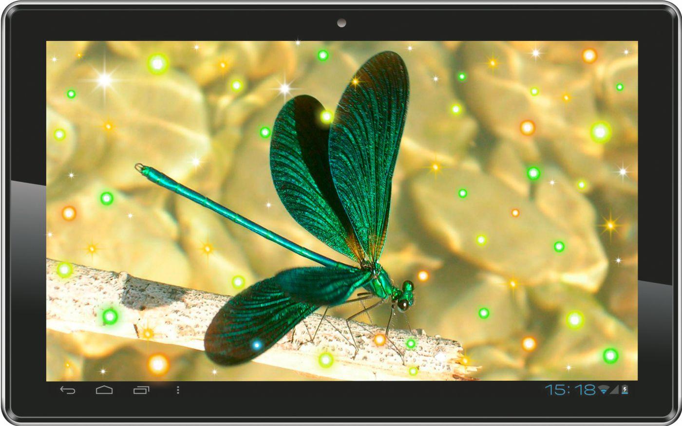 Dragonfly Live Wallpaper Android Apps On Google Play