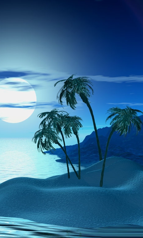 Tropic Night Smartphone Wallpapers 480x800 Hd Wallpaper For Cell Phone