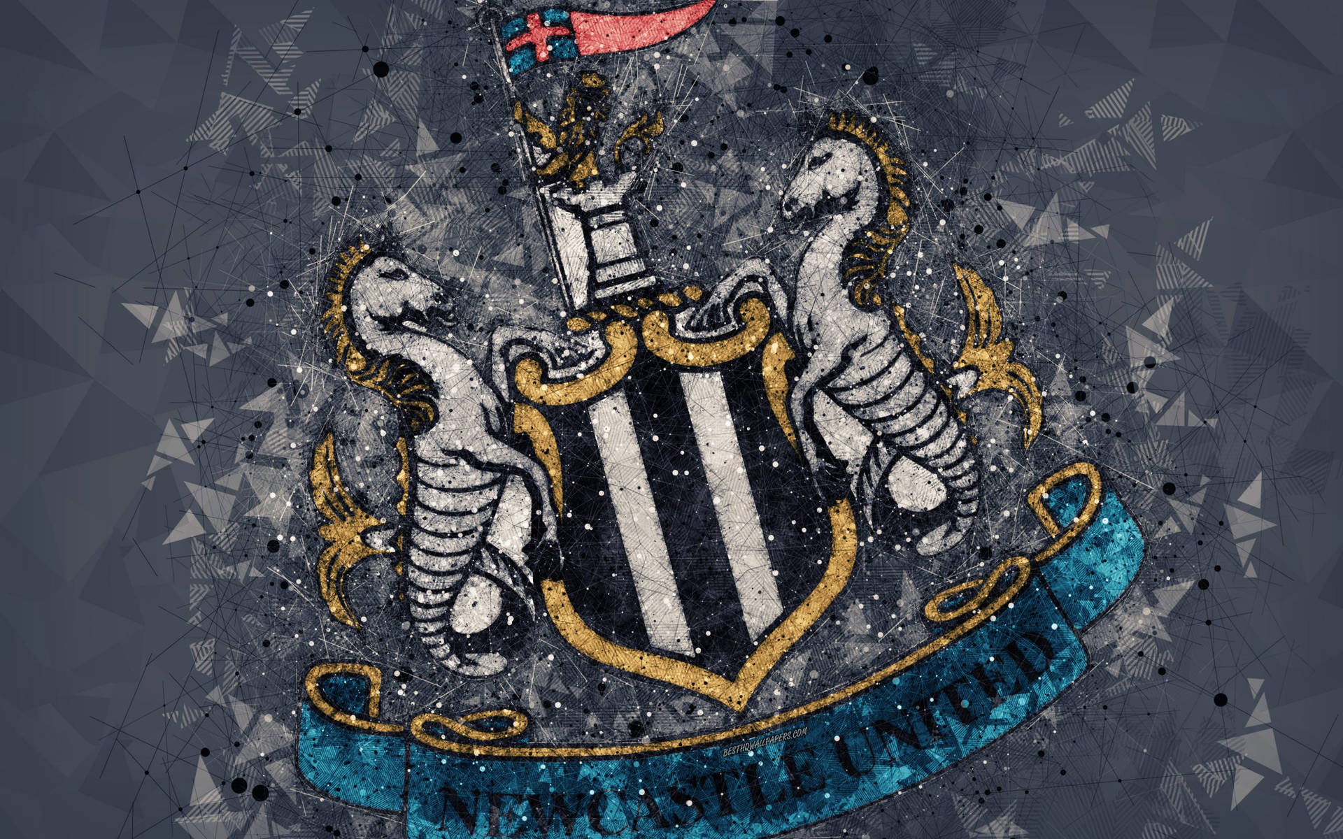 Newcastle United Fc Wallpaper