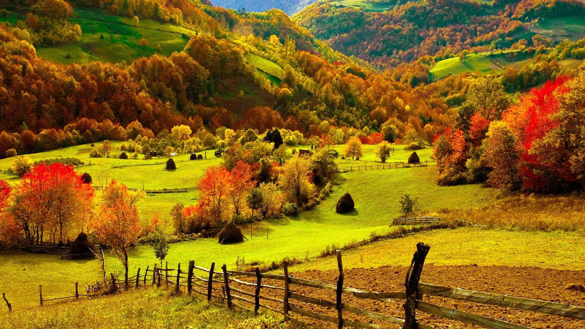 Landscapes Fields Hills Fence Grass Farm Trees Forests Autumn Fall