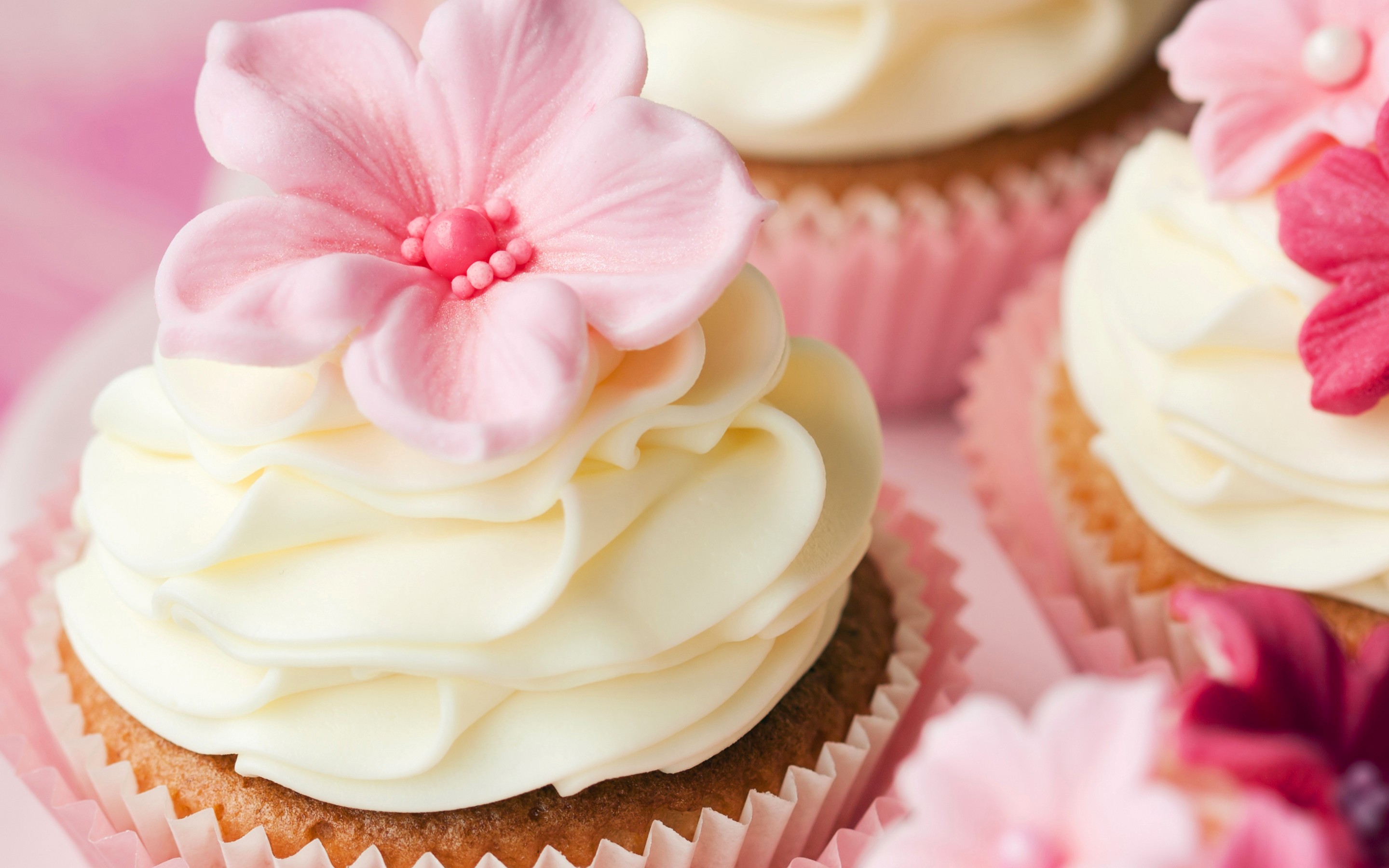 Cupcake Full HD Wallpaper and Background 2880x1800 ID