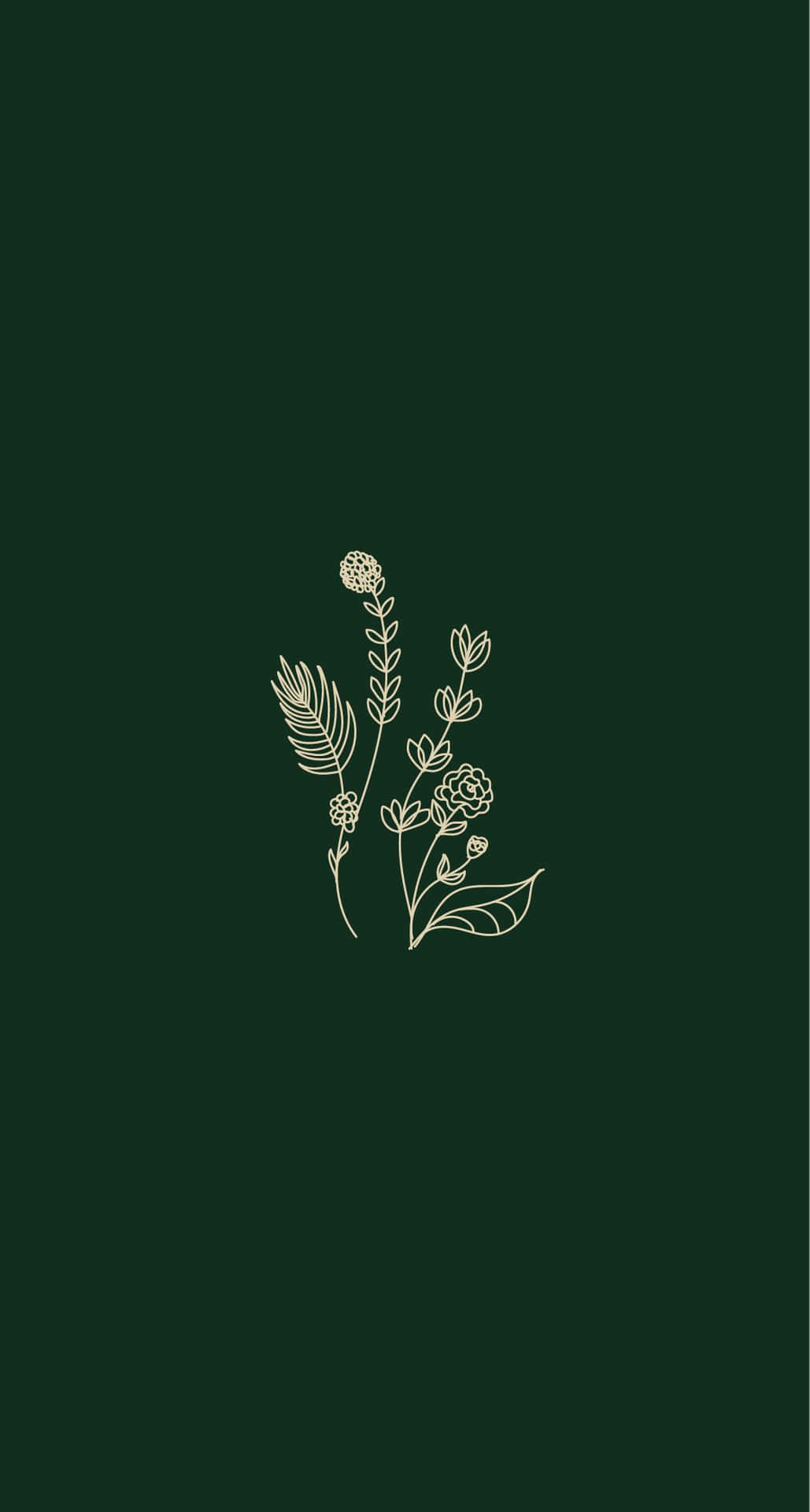 Aesthetic Green Minimal Different Plants Wallpaper
