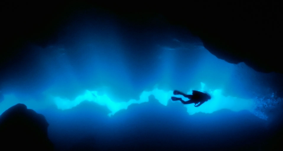 Diver In A Grotto Off Of Roatan Island Honduras Norbert Wu Science