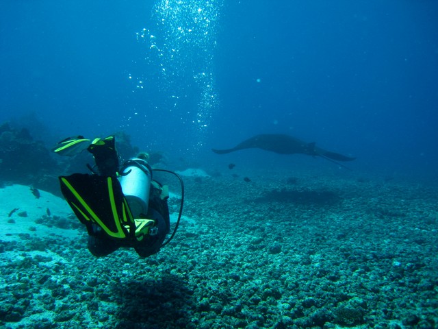Scuba Diving Reviews Best sites where to dive next