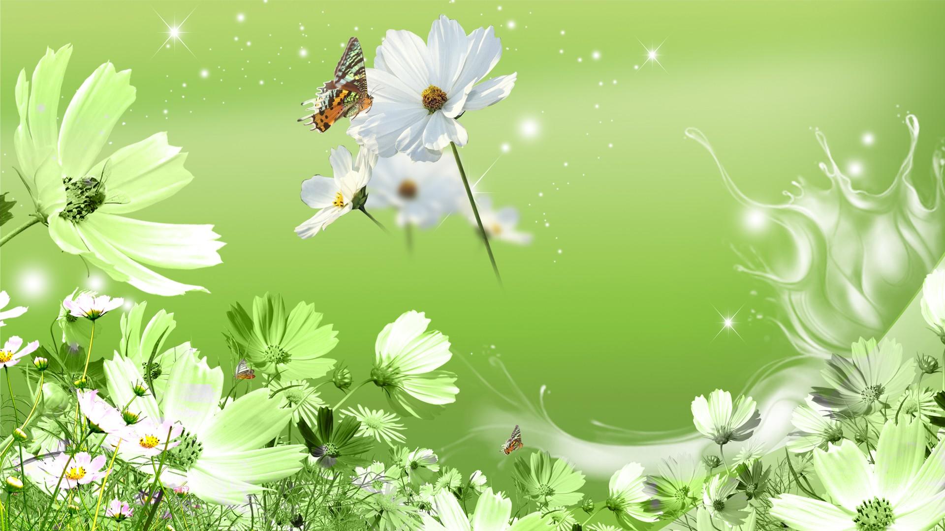 Free download Green Flower Wallpaper Green Flower PC Backgrounds [1920x1080] for your Desktop