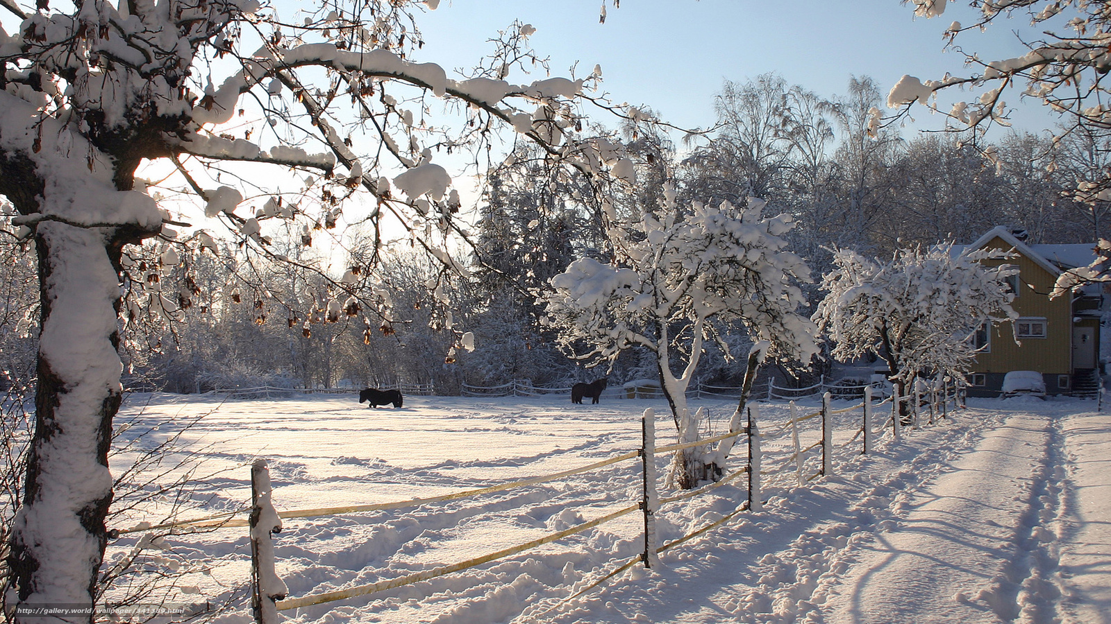 Winter Farm Fence Tree Snow World