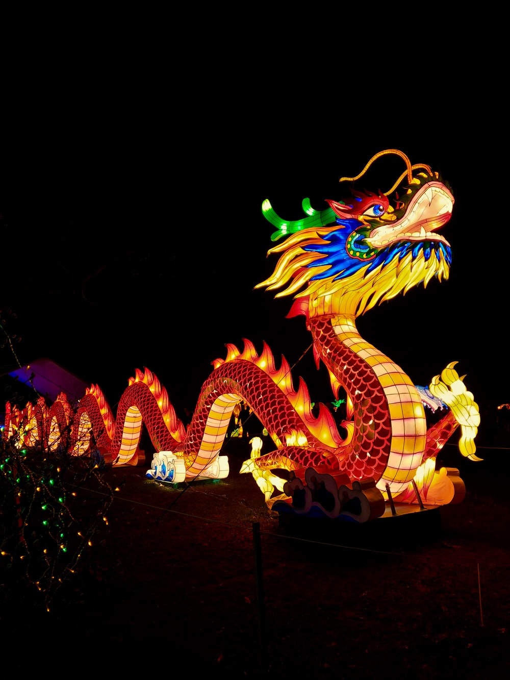 Chinese Dragon Pictures Image