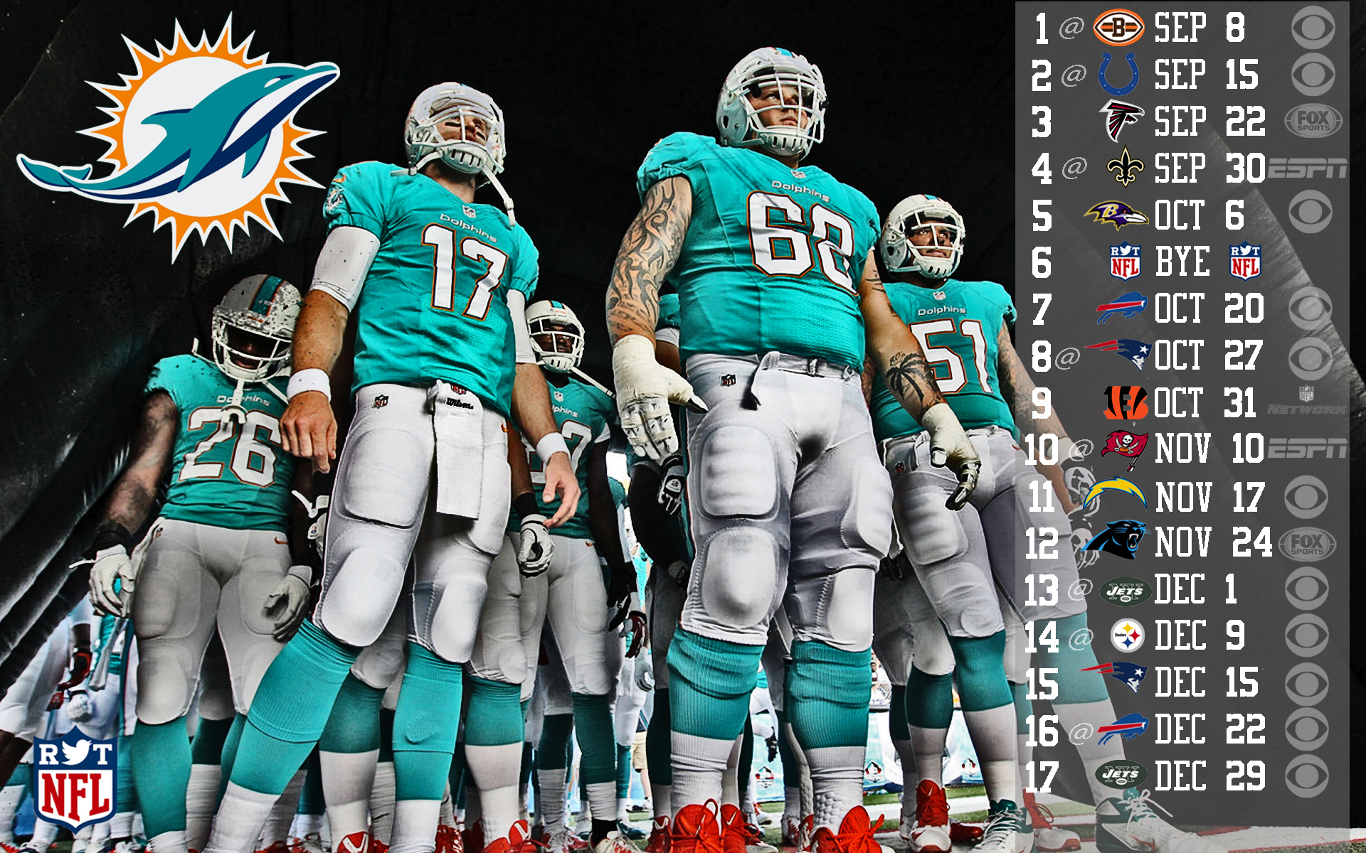 Miami Dolphins HDr Sports