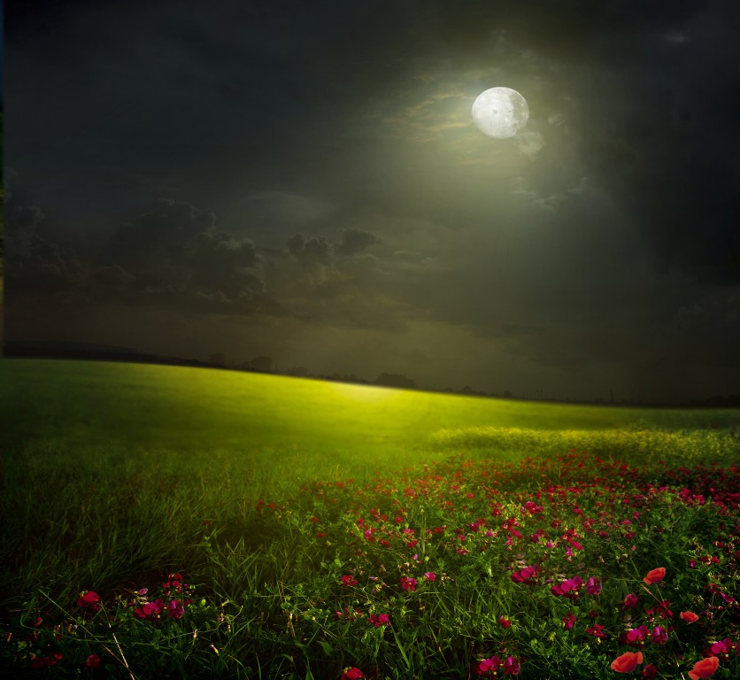 Beautiful Moonlight HD Wallpaper Elsoar
