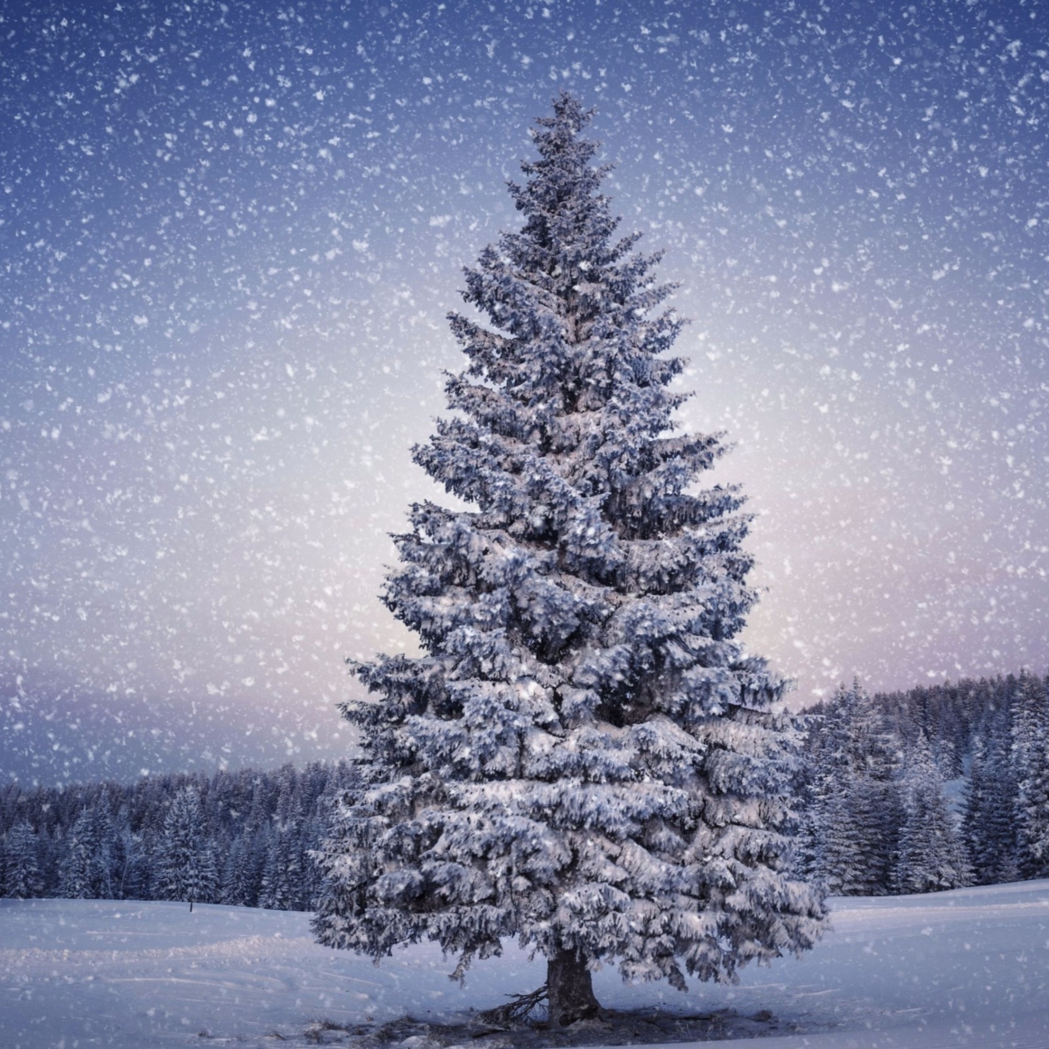 4k Christmas Wallpaper