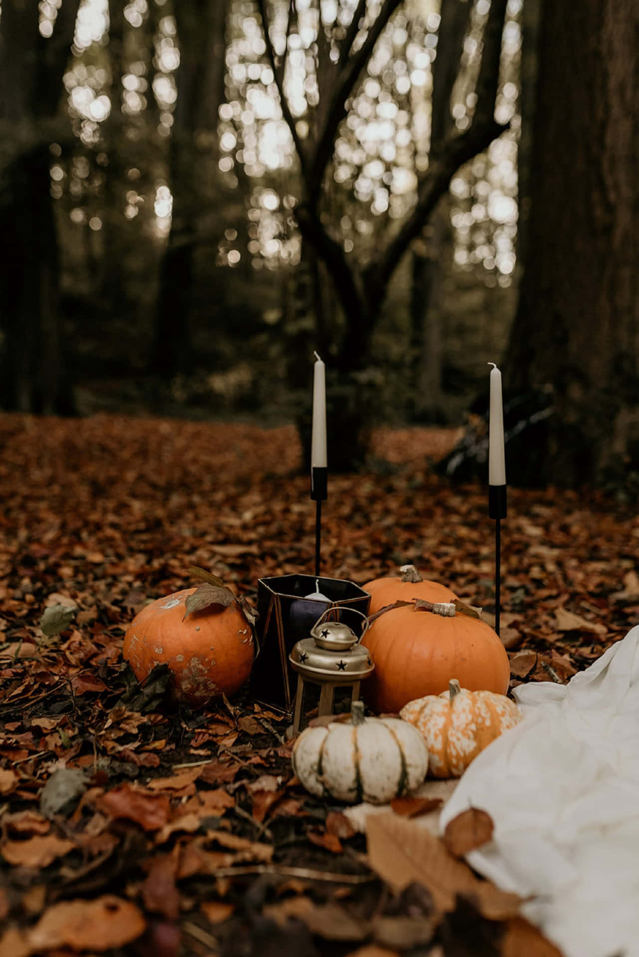 Aesthetic Autumn Halloween Wallpaper