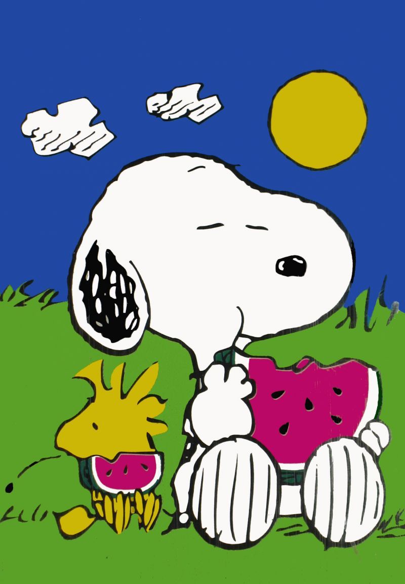 Snoopy Watermelon Flag Snoopn4pnuts