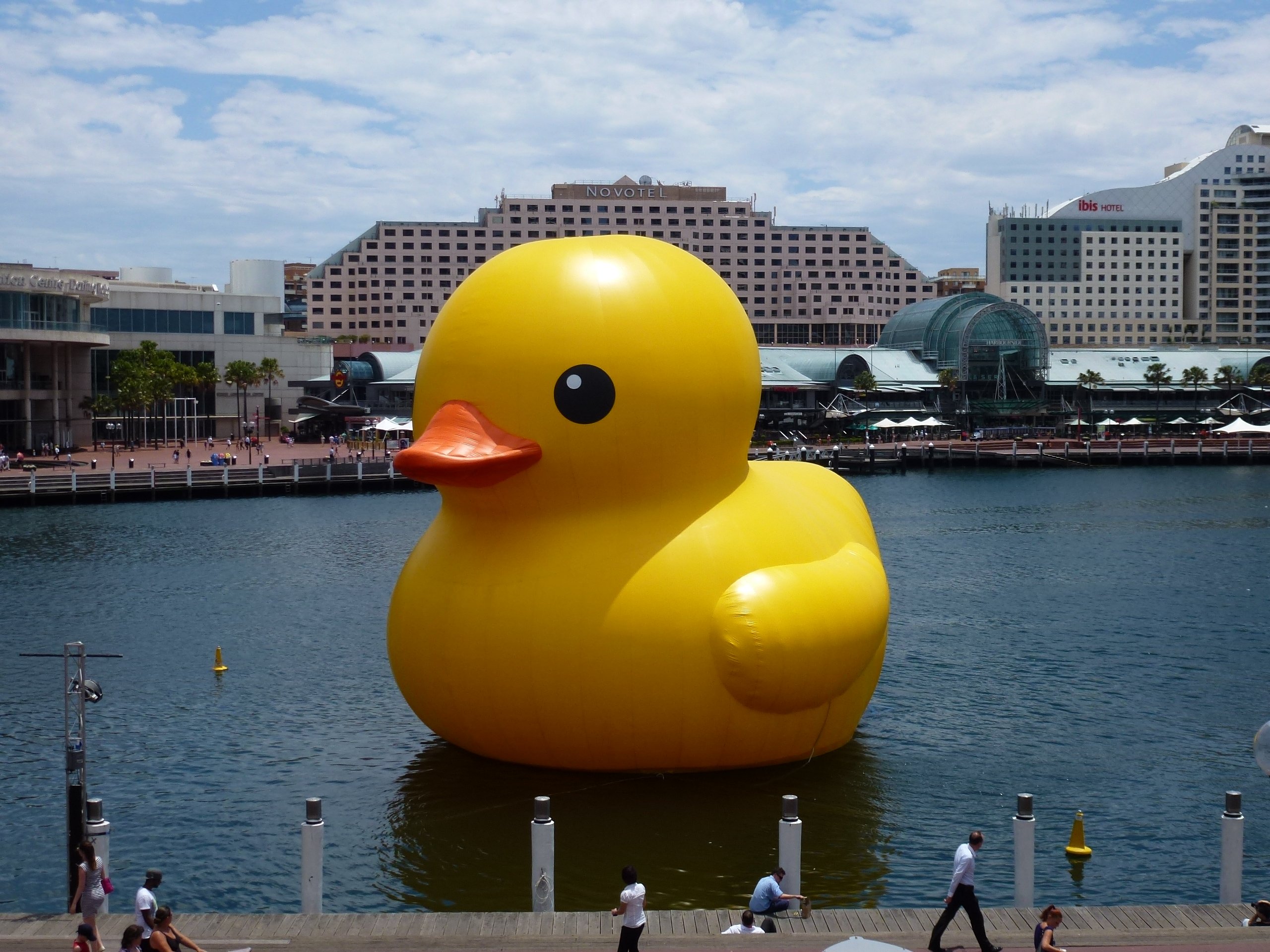 Giant Rubber Duck Giant rubber duck