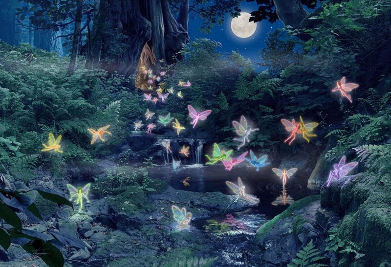Neverland Image HD Wallpaper And Background