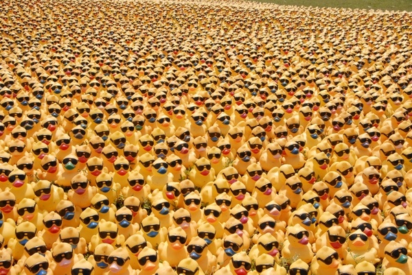 Google Image Result For Wallpaperwa Thumbnails Detail